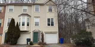 79 MULE DEER Court Gallery 1