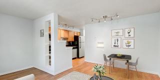 Archer Place Gallery 2