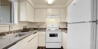 Mountain View Terrace Gallery 1