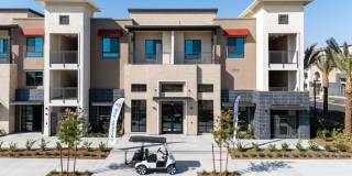 North Grove Gallery 79