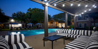 Westchase Forest Gallery 23