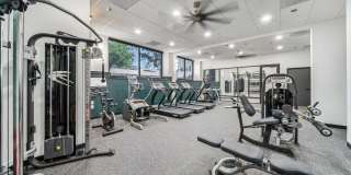 The Felix Gallery 32