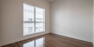 Next on Sixth Gallery 52