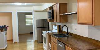 3 Bedrooms One Floor Ranch House with 2 car attached garage in Lyndhurst Gallery 7