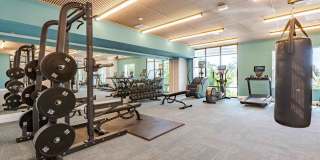 Alta Trilogy Gallery 9