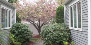 Allston 3 bed 2.5 bath - 9/1 Gallery 13