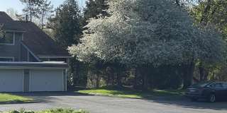 594 Mountain Road Gallery 1