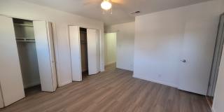 Penthouse Gallery 102
