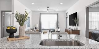 Standard441 Gallery 16