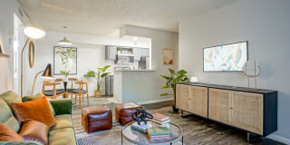 Treehouse Apartments Gallery 4