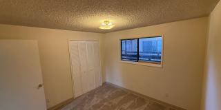 451w13 Gallery 9