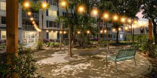 Bermuda Cay Gallery 34