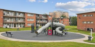 Belcrest Plaza Gallery 18