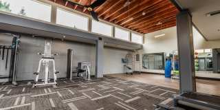 The Lucent Gallery 19