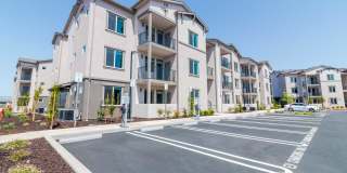 Arrive Suisun Gallery 31