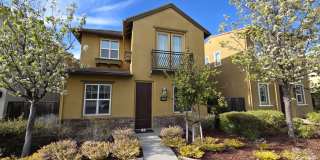 2003 Poinsettia Street Gallery 1