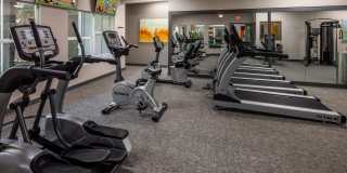 Canyon Park Gallery 20