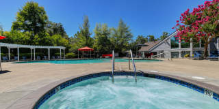 Lake Pointe Apartments Gallery 34