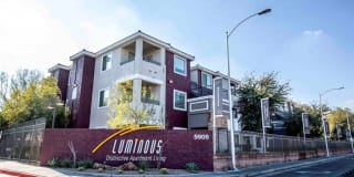 Luminous Gallery 24