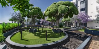 Envy Pompano Beach Gallery 45