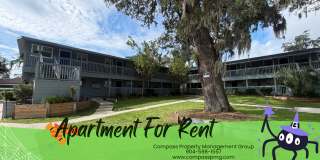 1 Bedroom Apartment in Arlington Gallery 1