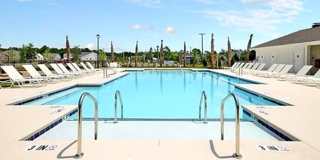 Nestled in the Heart of Myrtle Beach!! Gallery 49