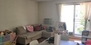 No Fee! Parking, Heat and Hot Water Included! Renovated, Sunny and Spacious!  Cat Friendly! Prime Location! Gallery 3