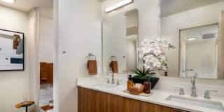Dolphin Marina Gallery 11