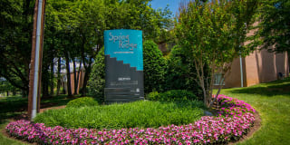 Spring Ridge Apartments Gallery 5