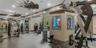 AMLI North Point Gallery 13