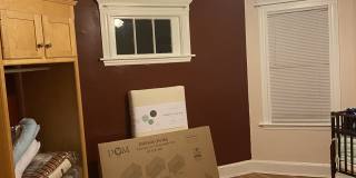 39 Farquhar St Gallery 11
