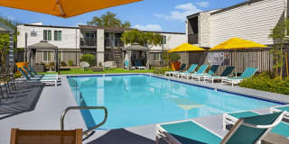 SITE Fifty55 Gallery 11