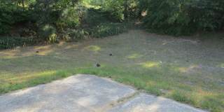 Beautifully 3-Bedroom 2-Bath Home Rental Gallery 23