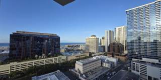 747 Amana Street #2216 - 2216 Gallery 1