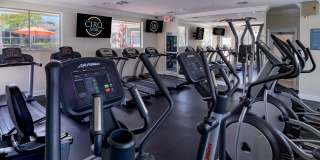 Cirq 5100 Gallery 17