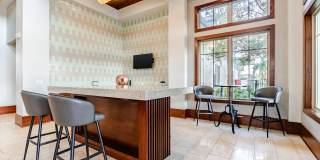 Talcott at Windermere Gallery 16