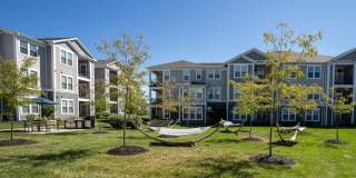 Altair At The Preserve Gallery 44