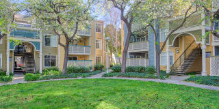 Woodland Meadow Gallery 34