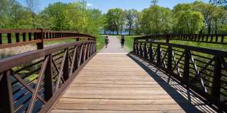 Wren on the Creek Gallery 49