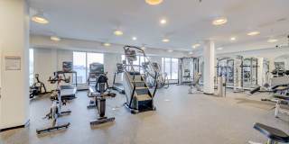 The James Gallery 15