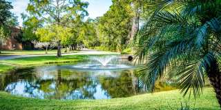 Woodlake Park Apartments Gallery 2