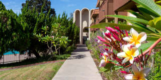 Volterra at La Mesa Gallery 10