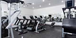 Gladstone Place Gallery 12