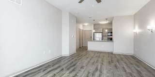 RIZE at Winter Springs Gallery 73