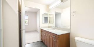 Olympus Alameda Gallery 19