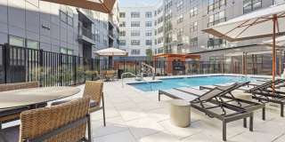 The Quill by Alta Gallery 1