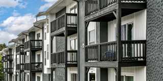 Full Renovated 1-bedroom apartment home with large balcony! Full Renovated 1-bedroom apartment home with large balcony! Gallery 1