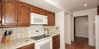 1725 E STAGHORN Lane Gallery 6