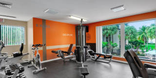 Boca Colony Gallery 7