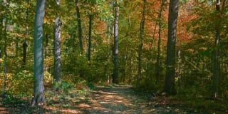 Muirwood Apartments Gallery 10